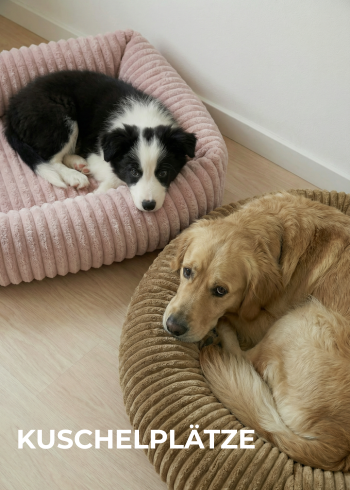 Kuschelplätze