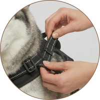 1. PASSFORM EINSTELLEN