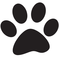 VERSTELLBARE PASSFORM