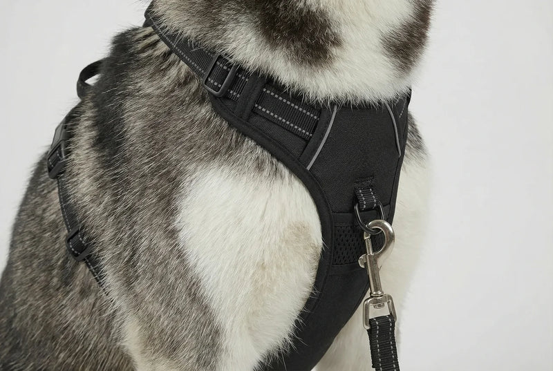 ANTI-ZIEH BRUST-CLIP