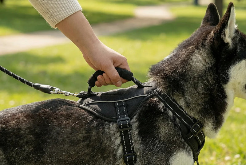 ERWEITERTE KONTROLLE